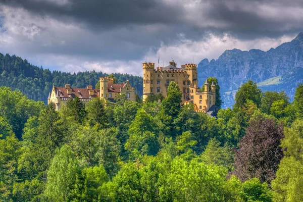 Hohenschwangau Castle, forest in front, mountains in the back, Schwangau, Ostallgu, Allgu, Swabia, Bavaria, Germany, Europe