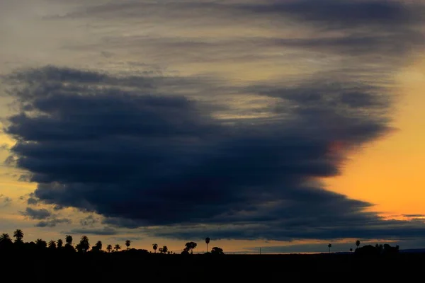 Palmas Parte Trás Luz Pôr Sol Com Nuvens Escuras Chuva — Fotografia de Stock