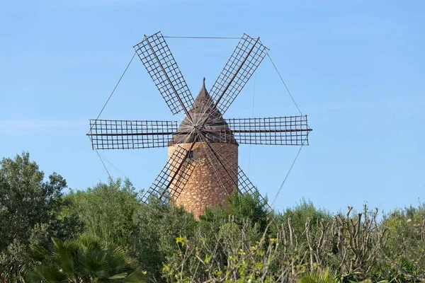 Väderkvarn Nära Santanyi Mallorca Spanien Europa — Stockfoto