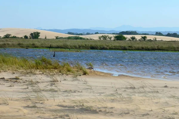 Verschuivende Zandduinen Grondwaterplassen Parque Regional Lomas Arena Santa Cruz Santa — Stockfoto