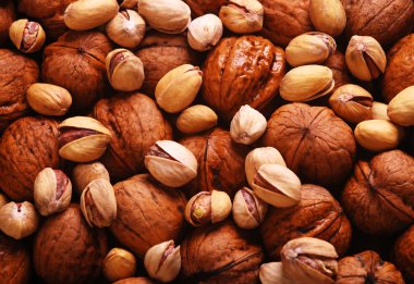 fındık ve antep fıstığı