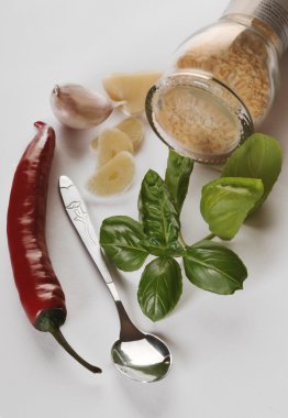 Bitkiler ve baharatlar.