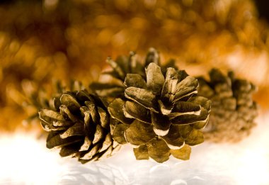 Noel resmi koniler ile