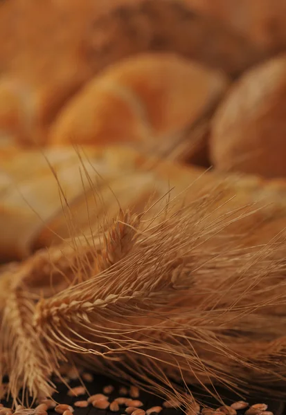 Bread and rolls — Stock Photo, Image