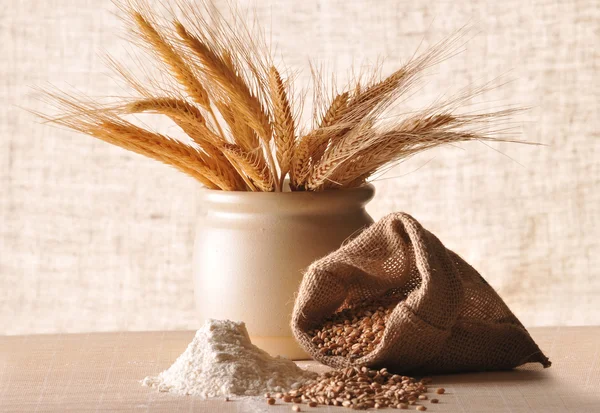 Sementi e spighe di cereali — Foto Stock