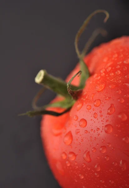 Tomato - close up — Stock Photo, Image