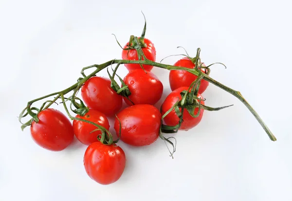Cherry tomatoes - close up — Stock Photo, Image