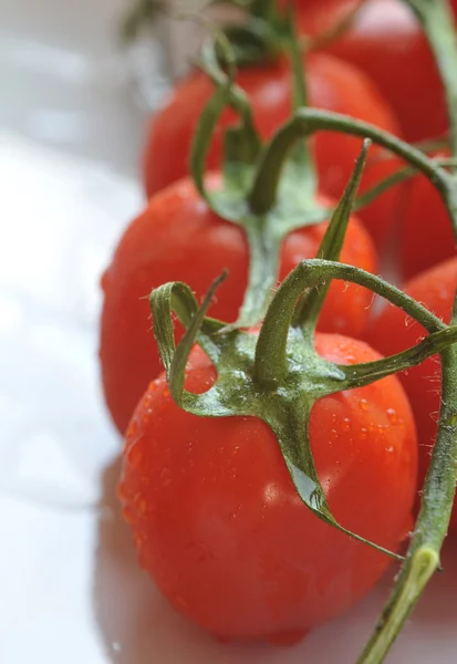Tomates cerises - fermer — Photo
