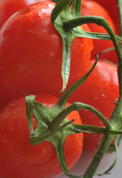 Cherry tomatoes - close up — Stock Photo, Image