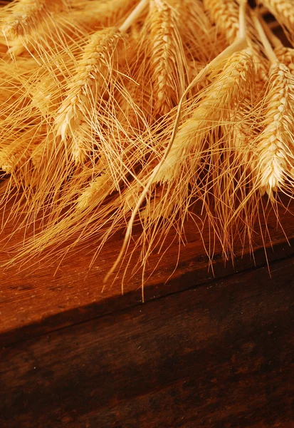 Sementes e espigas de cereais — Fotografia de Stock