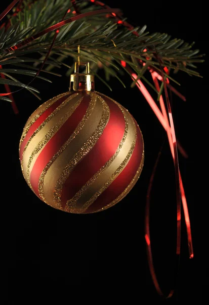 Christmas ball on twig of fir — Stock Photo, Image