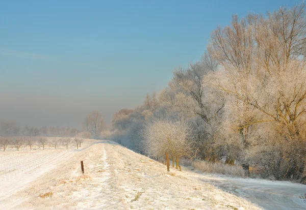 Paesaggio invernale — Foto Stock