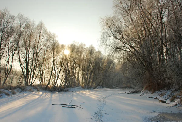 Paesaggio invernale — Foto Stock