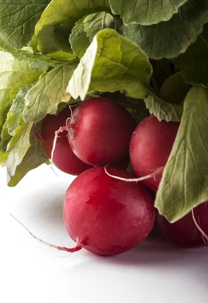 Fresh radish — Stock Photo, Image