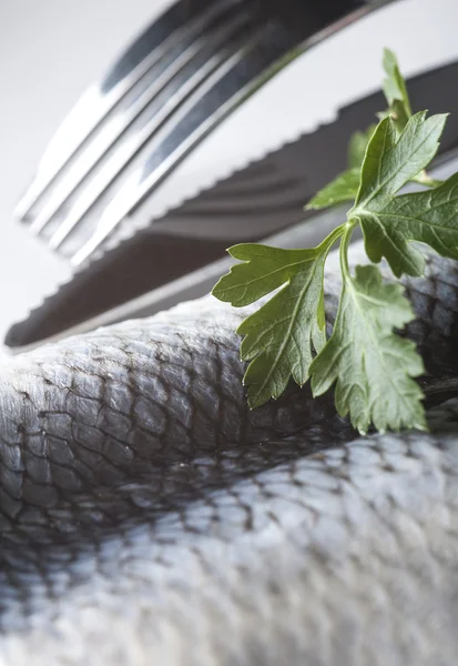 Fresh herring fillet — Stock Photo, Image
