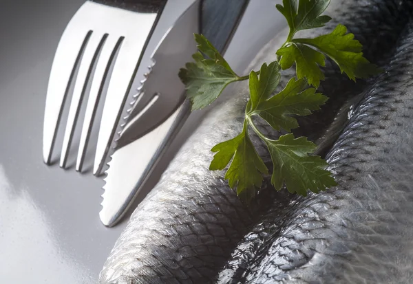 Fresh herring fillet — Stock Photo, Image