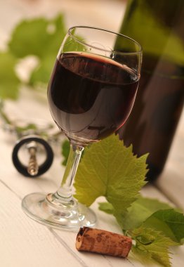 kırmızı şarap yaprakları ile