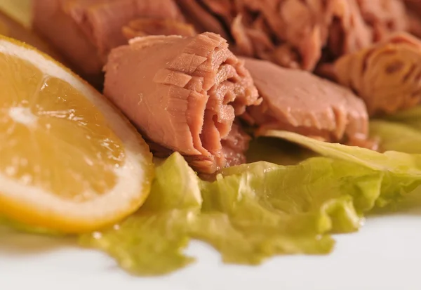 Tuna fish on lettuce laves — Stok fotoğraf