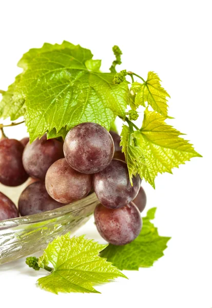 Fresh red grapes with leaves — Stock Photo, Image