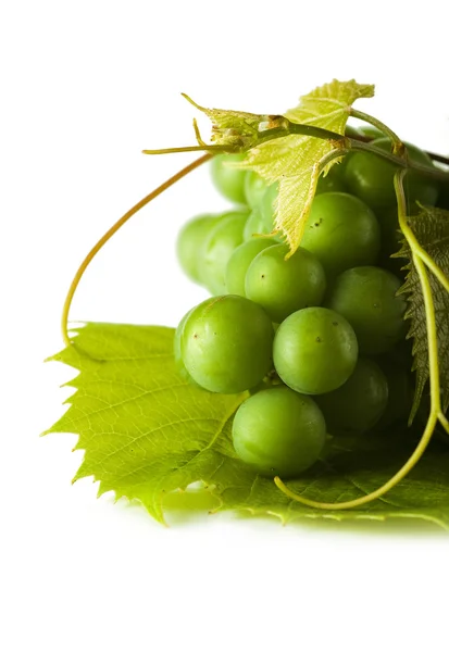 Fresh green grapes on the white background — Stock Photo, Image