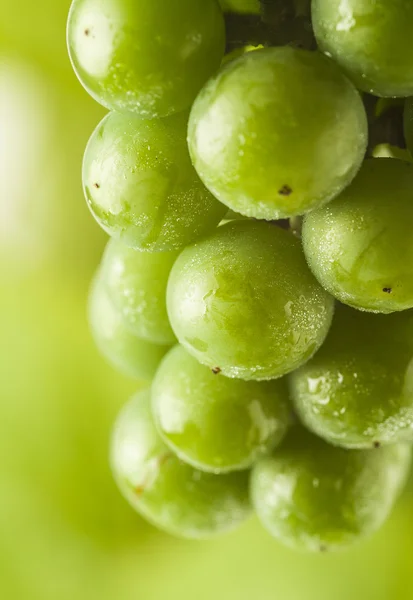 Fresh green grapes on the green background — Stock Photo, Image