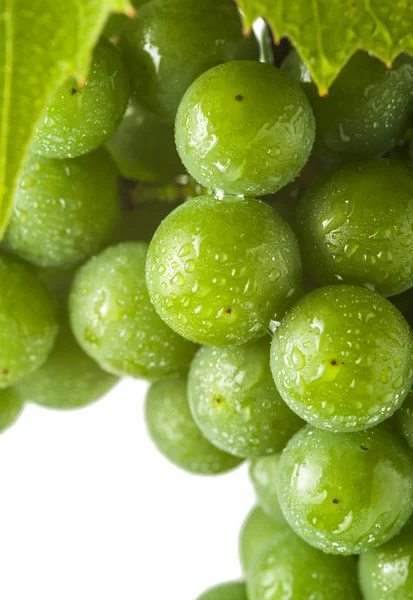 Fresh green grapes on the white background — Stock Photo, Image