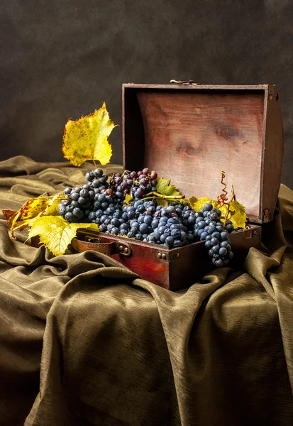 Świeże winogrona ciemne pole z liści Obrazek Stockowy