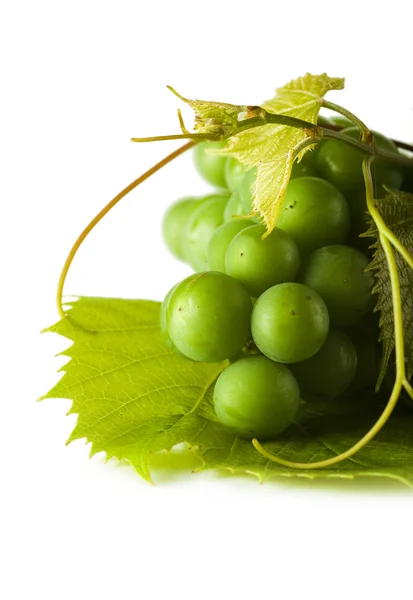 Zielony winogron na białym tle Obraz Stockowy