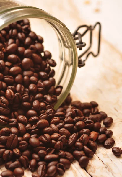 Koffie bean in pot — Stockfoto