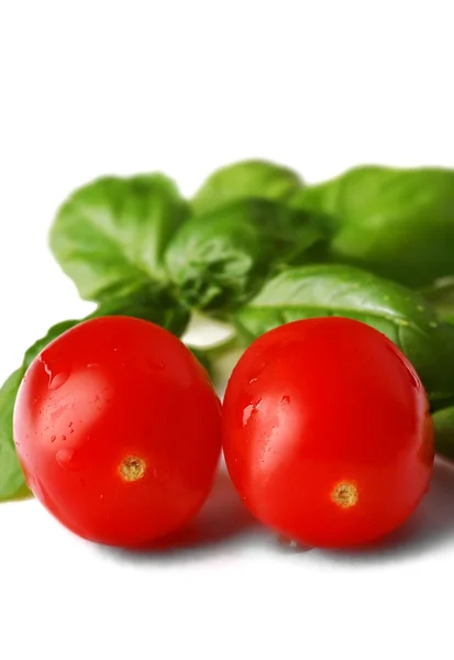 Fresh wet cherry tomatoes with basil leaves on the white background — Stock Photo, Image