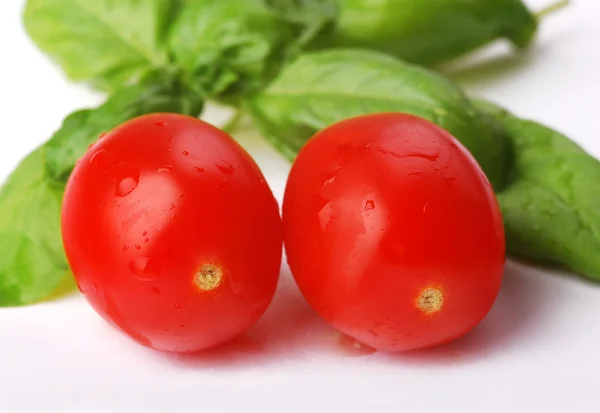 Tomates cereja molhados frescos com folhas de manjericão no fundo branco — Fotografia de Stock