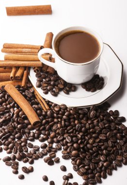 beyaz zemin üzerine tarçın ve kahve çekirdekleri ile kahve