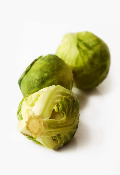 Rosenkohl — Stockfoto