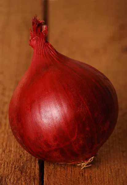 Cebola vermelha — Fotografia de Stock