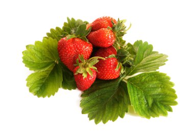 çilek ve beyaz zemin üzerine yeşil yaprakları