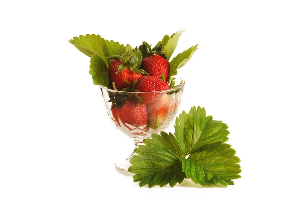 Fraises dans le bol en verre — Photo