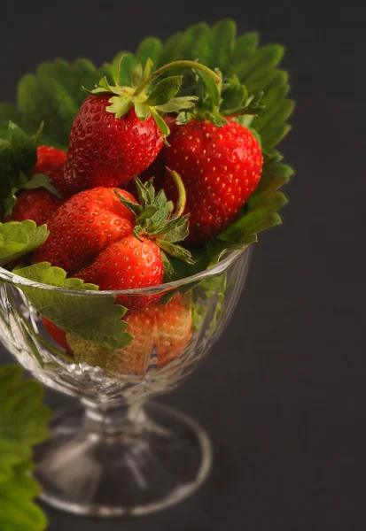 Fresas en el tazón de cristal — Foto de Stock