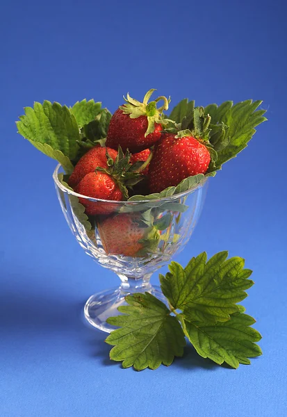 玻璃碗里的草莓 免版税图库图片