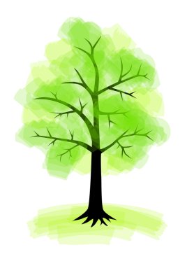 beyaz arkaplanda yeşil ağaç