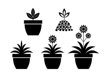 beyaz zemin üzerine çiçek simgeleri