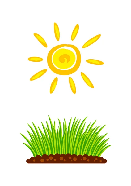 Växter och solen på vit bakgrund — Stock vektor