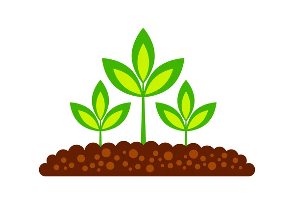 Pflanze Symbol auf weißem Hintergrund — Stockvektor