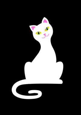 beyaz kedi