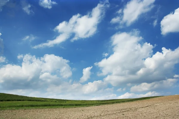 Spring field — Stock Photo, Image