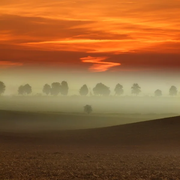 Morning landscape — Stock Photo, Image