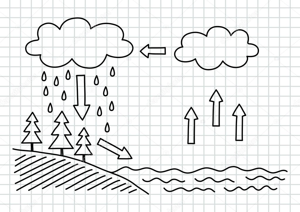 Water cycle — Stock Vector © Anthonycz #20908623
