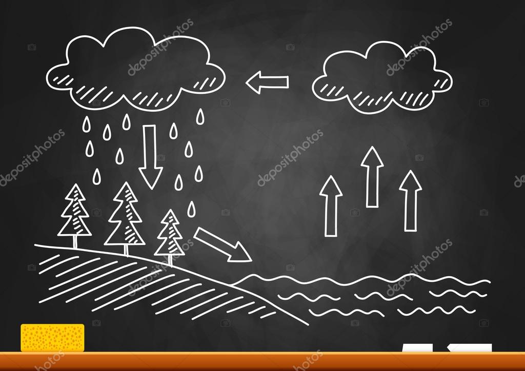 Water Cycle - Process and its Various Stages-cacanhphuclong.com.vn