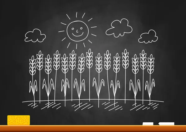 Drawing of wheat field on blackboard — Stock Vector