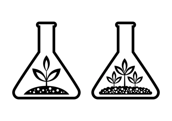 Planta em vidro de laboratório —  Vetores de Stock