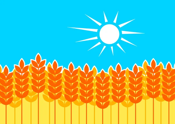Corn field — Stock Vector